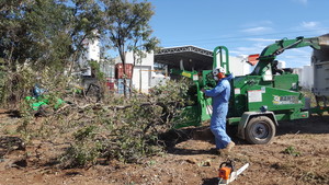 Waratah Tree Services Pic 3