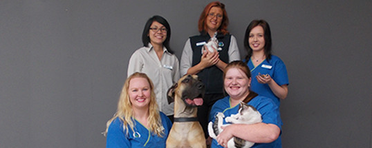 Our Vet Thomastown In Thomastown Melbourne Vic Veterinarians Truelocal
