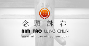 Nim Tao Wing Chun Pic 5