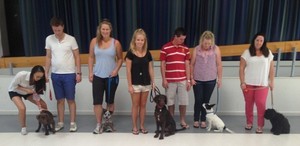 Paw Habits Puppy School Pic 5 - Cheltenham Puppy School February