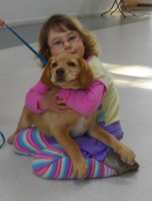 Paw Habits Puppy School Pic 3 - Cosmos Cheltenham Puppy School