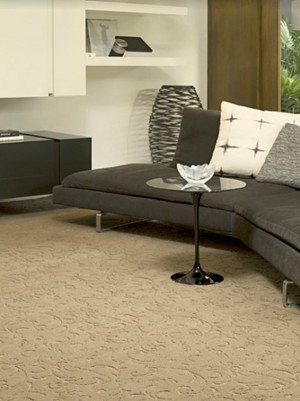 Accolade Carpets Pic 4