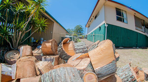 Mr Trees Pic 5 - We can also cut your tree into firewood rounds which can save you money during the winter months