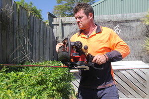 Mr Trees Pic 4 - We do hedge trimming