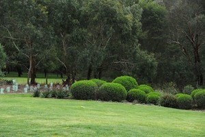 Blue Ridge Garden Services Pic 5 - Mornington Peninsula