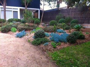 Blue Ridge Garden Services Pic 2 - Portsea