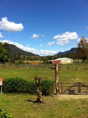 NV Cafe Numinbah Valley Pic 2 - View from our deck