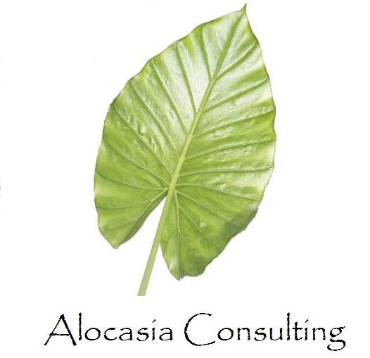 Alocasia Consulting Pic 1