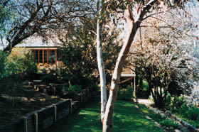 Merlot Cottage Pic 1 - Merlot Cottage Tanunda Barossa South Australia