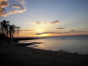 Taxstore Hervey bay Pic 3