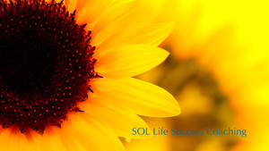 SOL Life Success Coaching Pic 2