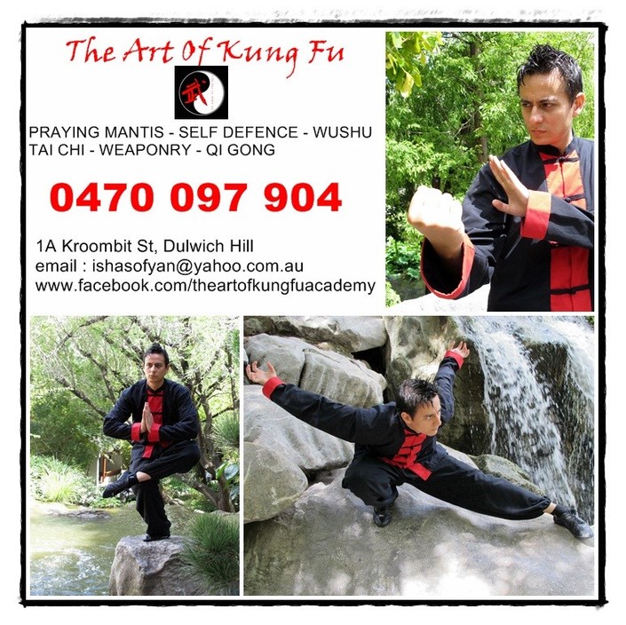 The Art of Kung Fu Pic 1