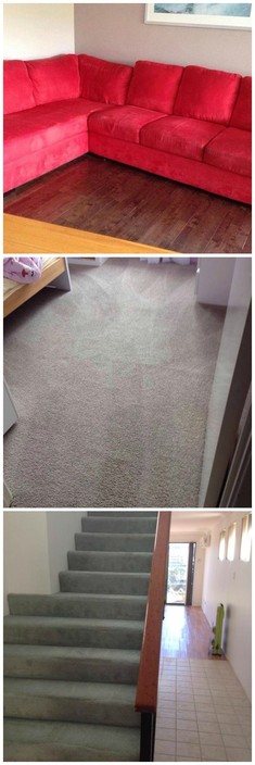 Your Local Guy Carpet Cleaning Pic 1