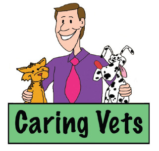 Caring Vets Pic 1 - Caring Vets 4647 6321