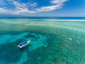 Ocean Safari Pic 3 - Ocean Safari Great Barrier Reef