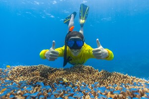 Ocean Safari Pic 4 - Ocean Safari snorkelling