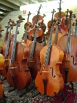 Whitehorse Music Pic 4 - We have a big range of Violins Violas and Cellos