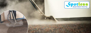 Spotless Carpet Cleaning Pic 3