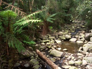 Eco-Adventure Tours Pic 4 - Badger Creek