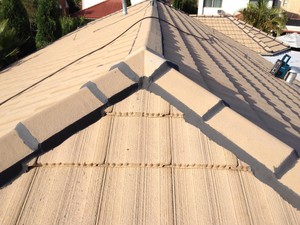 Hills Shire Roofing Pic 3