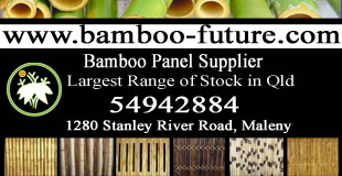 Bamboo Future Pic 1