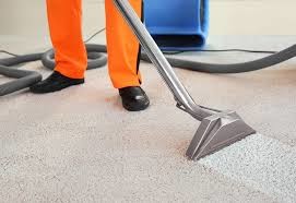 Marks Carpet Cleaning Pic 4