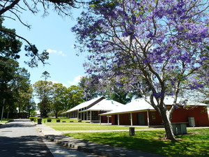 Mt Penang Parklands Pic 2 - Carinya built in 1912