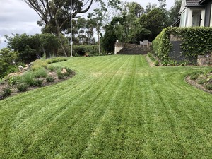 Trim & Tidy Home & Garden Maintenance Pic 2