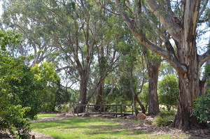 Sunset Villas Cobram Pic 3 - BBQ area in rural setting