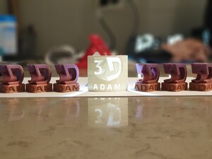 Adam 3D Pic 3