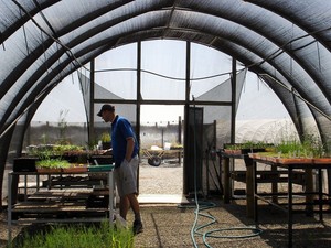 Natural State Pic 5 - Local provenance seed collection and propagation services