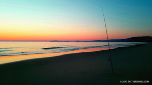 SALTY'S FISHING Pic 2