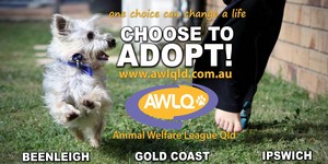 Animal Welfare League Queensland Pic 3