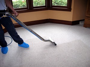 Mega Services Pty Ltd Pic 3 - Carpet Cleaning ask about our dry before we leave Guarantee on our Platinum Premium Service