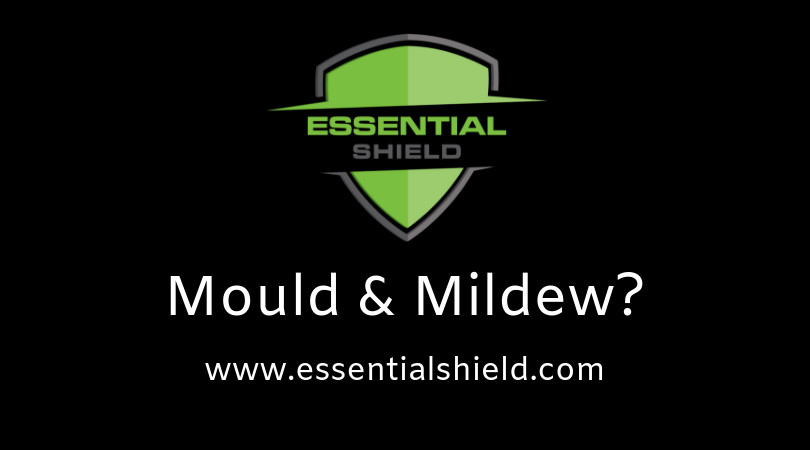 Essential Shield Mould & Odour Removal Services - Gold Coast Pic 1