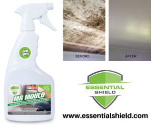 Essential Shield Mould & Odour Removal Services - Gold Coast Pic 4