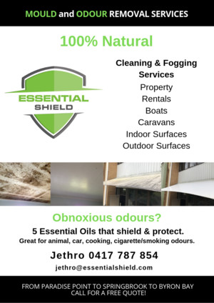 Essential Shield Mould & Odour Removal Services - Gold Coast Pic 5