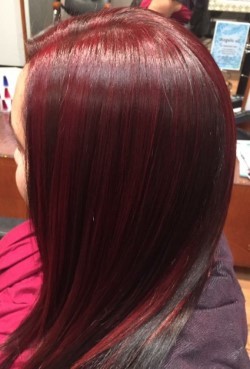 Angelique Hair Art Pic 5 - two tone red