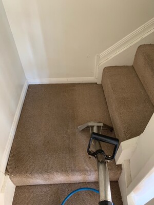 Austech Carpet Cleaning Brisbane Pic 2