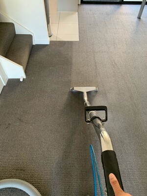 Austech Carpet Cleaning Brisbane Pic 4