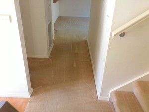 Howzthat Clean Floors Pic 5