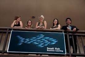 Small Fish Business Coaching Pic 1