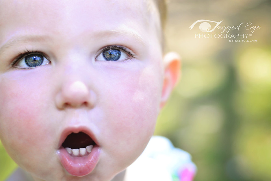 Jagged Eye Photography Pic 1 - Toddler shoot