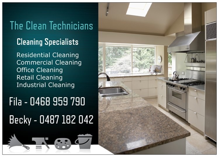 The Clean Technicians Pic 1