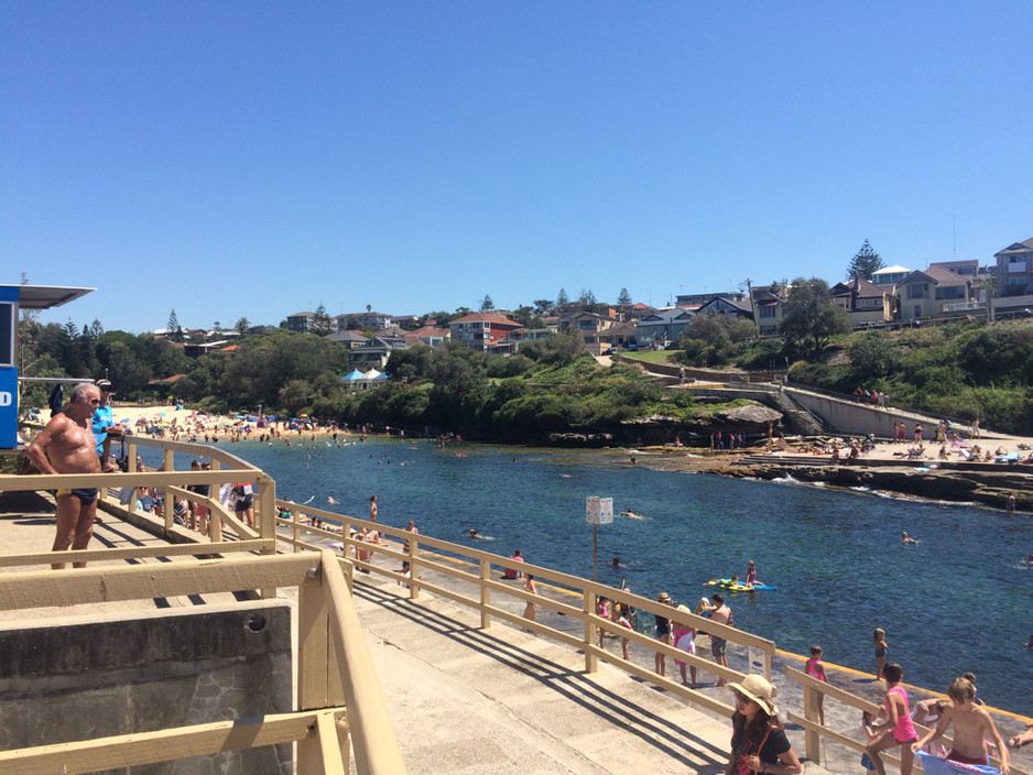 Clovelly Surf Life Saving Club Pic 1 - Great views from the SLSC