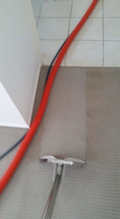 Floor Care Pro Pic 1