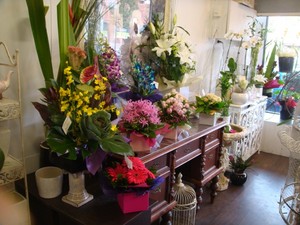 Wonder Florist Pic 5