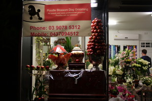 Wonder Florist Pic 2