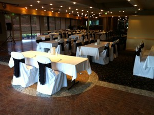 Affordable Chair Covers Pic 2