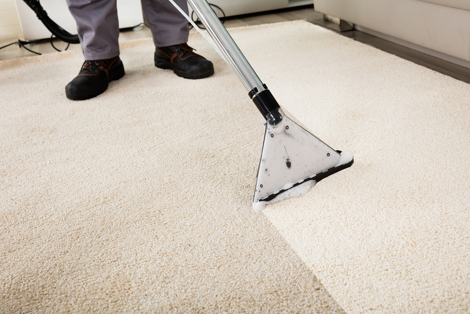 Carpet Cleaning Bendigo Pic 1